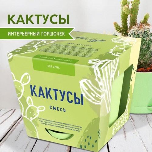 Набор для выращивания растений «Тысяча листьев Кактусы»