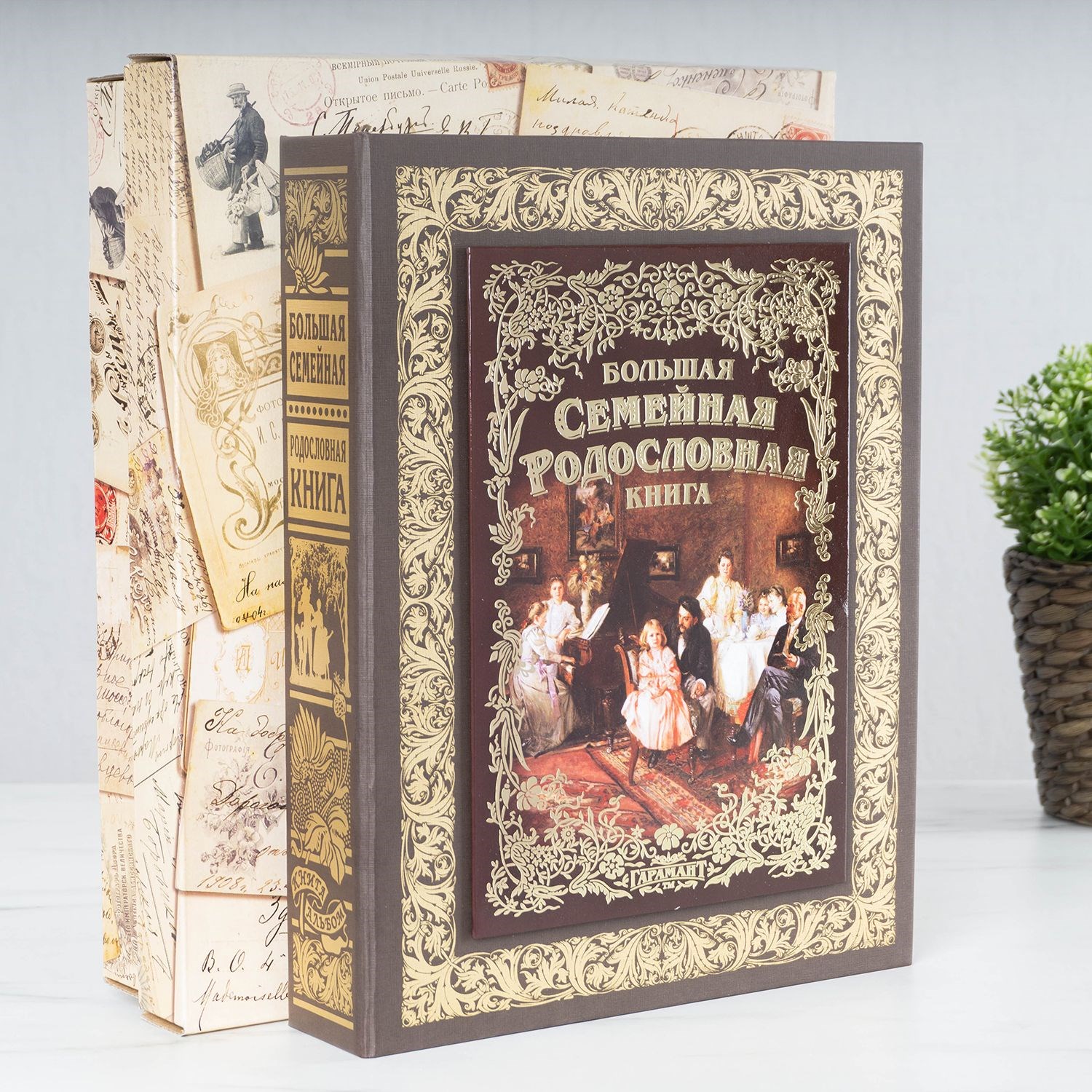 Большая семейная книга. Большая семейная родословная книга. Книга в большой семье. Большая семейная книга купить.