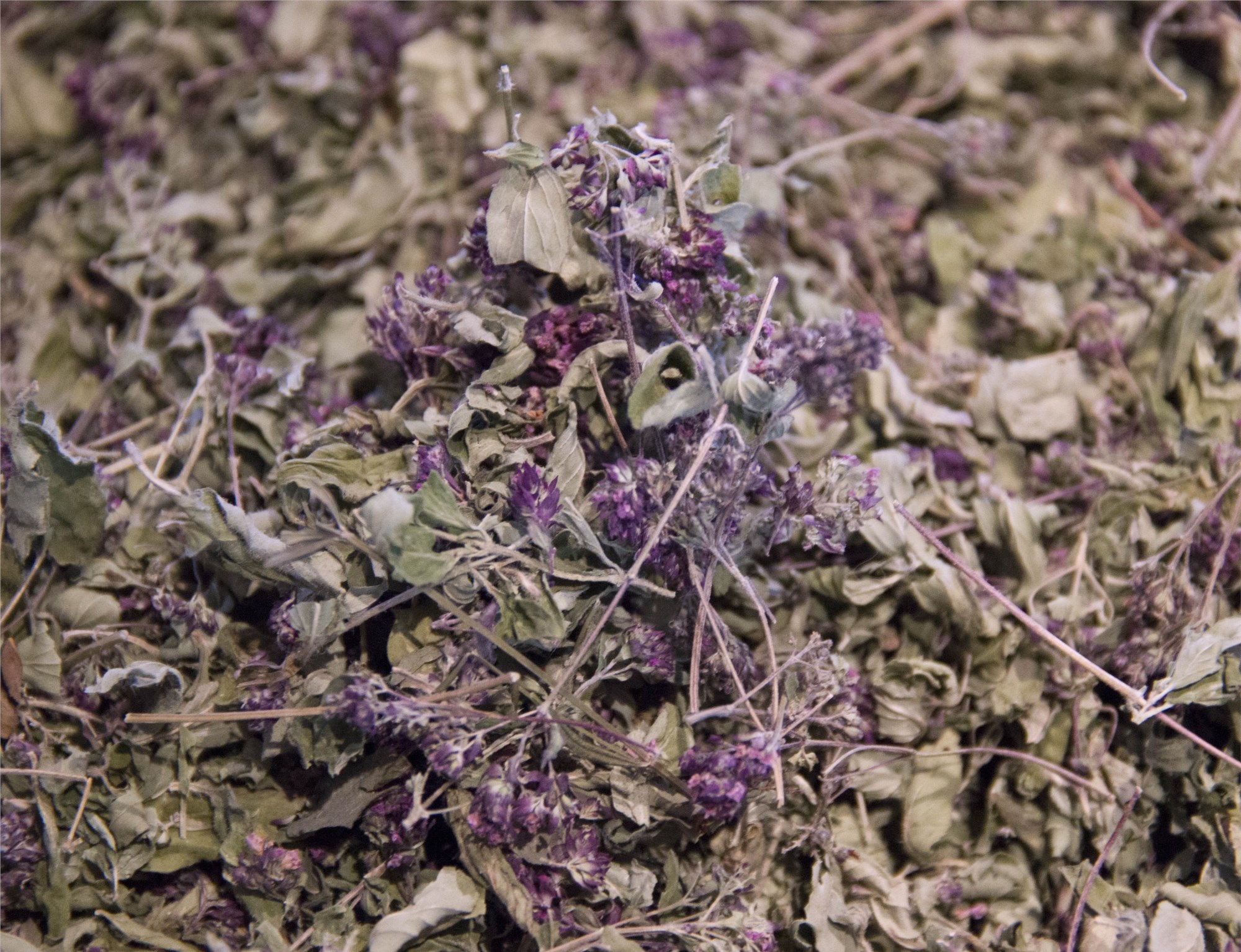 Лекарственное сырье душицы. Душица обыкновенная лекарственное сырье. Душица обыкновенная сырье. Душица обыкновенная (орегано). Душица обыкновенная лрс.