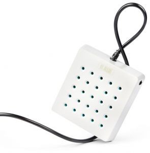 Розеткус Белый