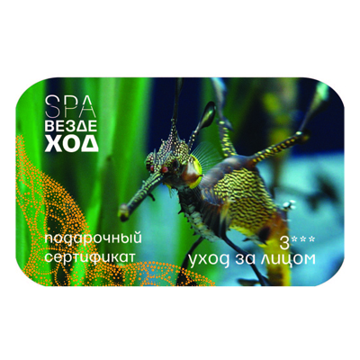 Spa-Вездеход: Уход за лицом, 3***
