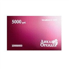 Интернет Магазин Дикая Орхидея Официальный