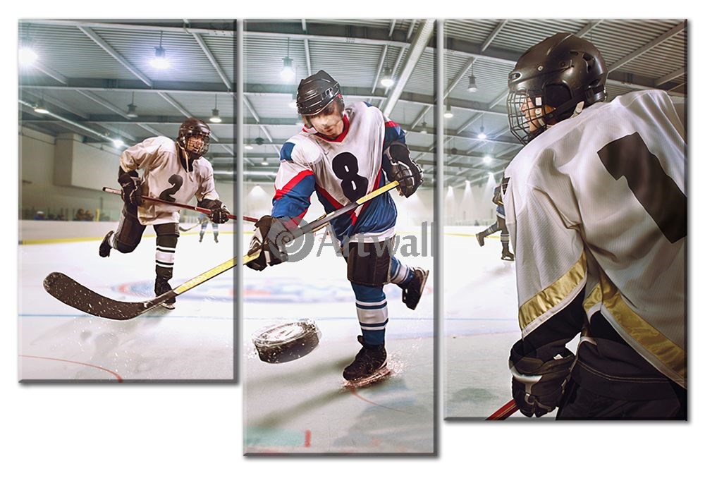 Модульная картина «Хоккей» 60×41 см