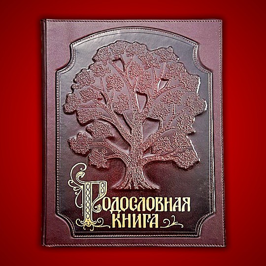 Картинка родословная книга