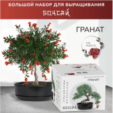 Большой набор для выращивания «Гранат»