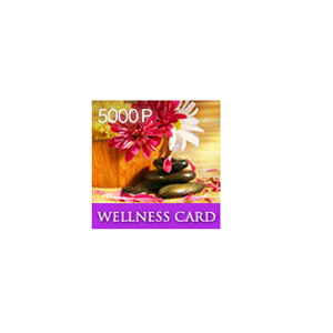 Подарочный сертификат WELLNESS CARD