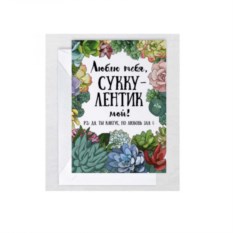 Открытка Суккулент