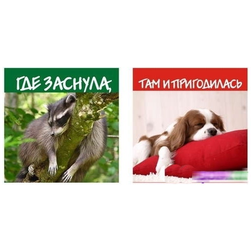 Подушка «Где заснула, там и пригодилась»