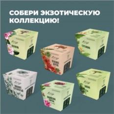 Набор для выращивания растений «Премиум»