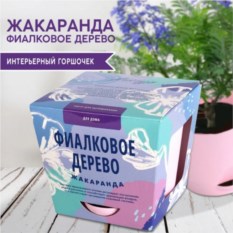 Набор для выращивания растений «Фиалковое дерево»