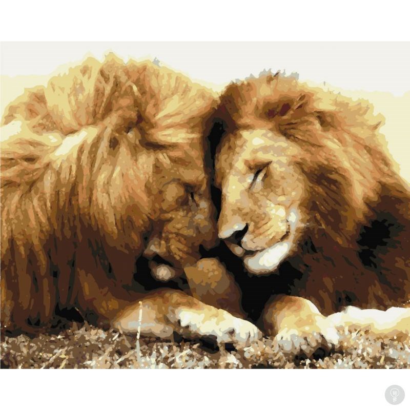 Картина по номерам Львиная пара