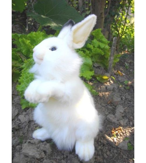 Летающий Белый Кролик Купить В Москве