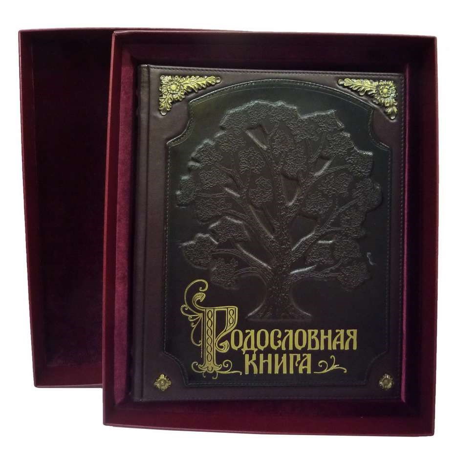 Родословная книга. Родословная книга в подарок. Родословная книга подарочная. Родословная книга (кожа).