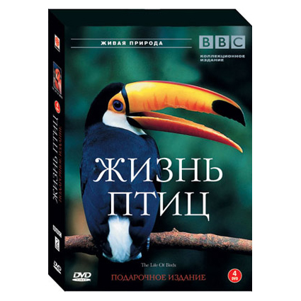 летчики су 34 балтимор. самолёт для прыжков с парашютом. ласточка вертолет. жизнь ввс. F16 истребитель.