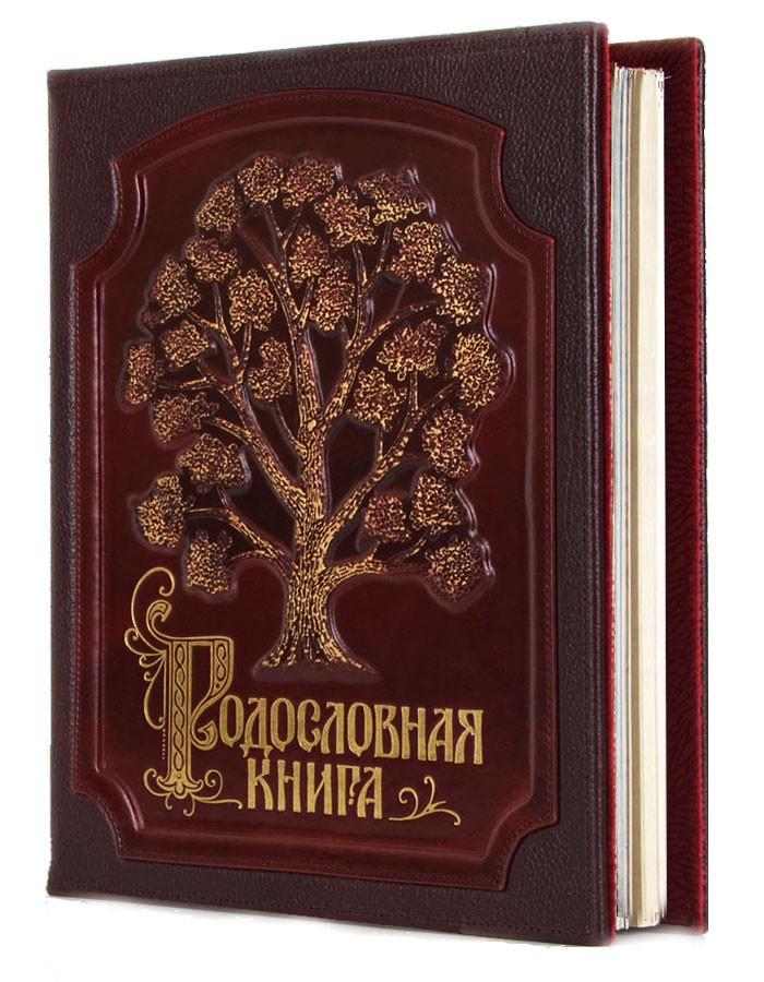 Изысканные книги. Родословная книга "изысканная". Родословная книга «ажурная». Подарочная книга родословная Царская семья. Изящная классика книги.