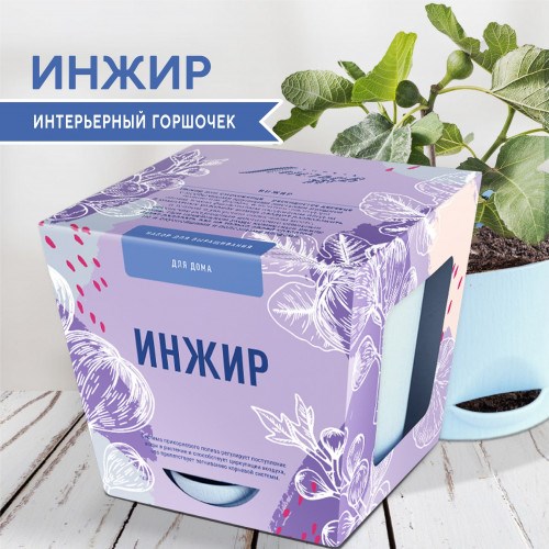 Набор для выращивания растений - Инжир