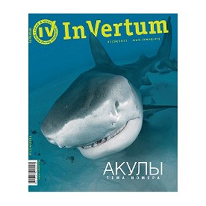 Журнал InVertum №1 (14)/2011