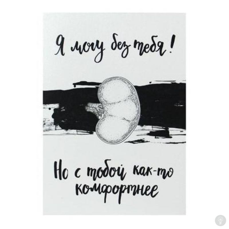 Открытка Почка