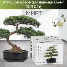 Большой набор для выращивания бонсай «Мирт»