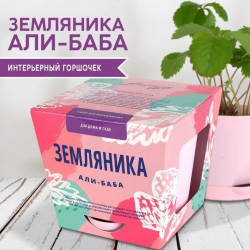 Набор для выращивания растений Тысяча листьев «Земляника Али-Баба»