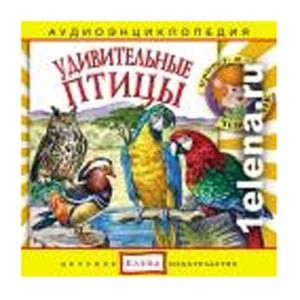 Птицы: энциклопедия дяди Кузи и Чевостика