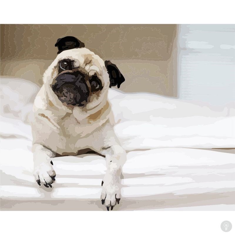 Картина по номерам Мопс