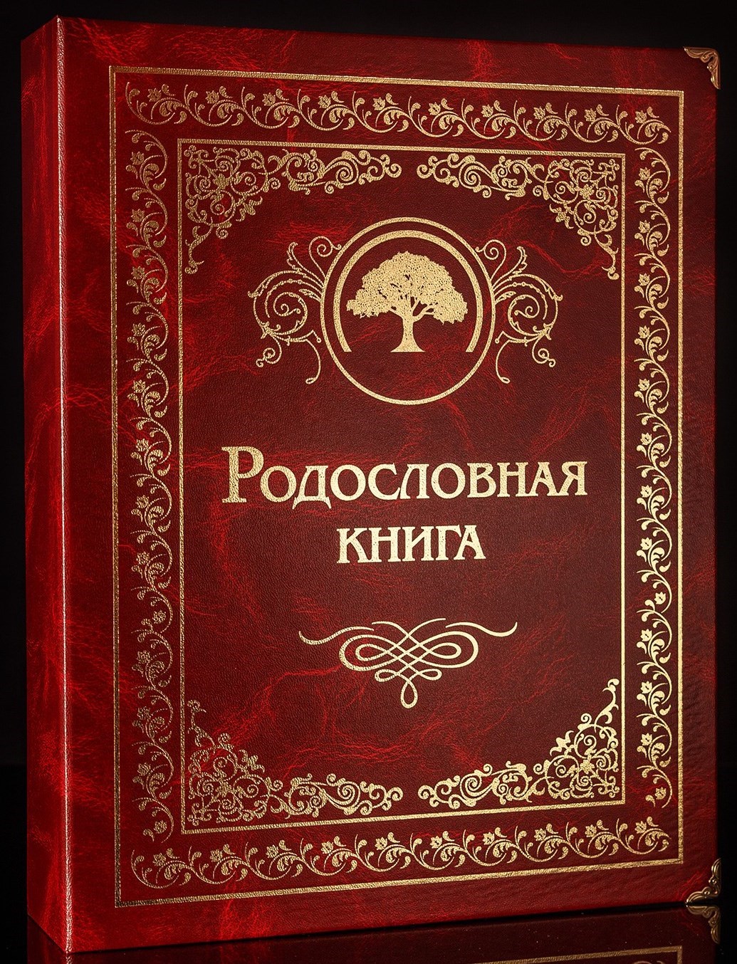 Картинка родословная книга