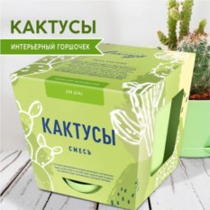 Набор для выращивания растений «Тысяча листьев Кактусы»